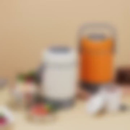 ThermoLunch™ Electric Lunch Box – 2.0L